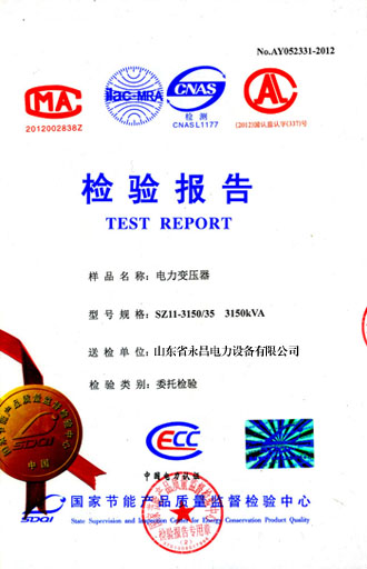 拉萨电力变压器检测报告